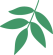 feuille feuille