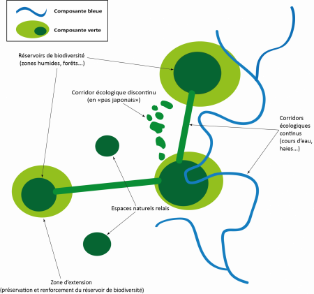 Schema_TVB_©Source_www_grandrovaltain_fr